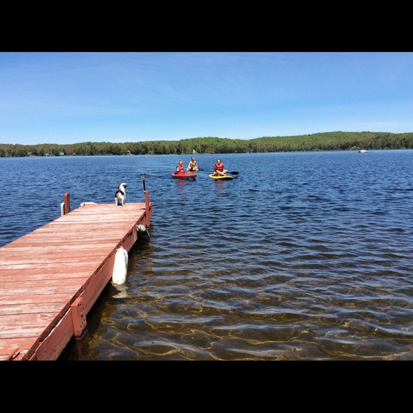 Meet your Posher, Carol - Picture 2 of 10